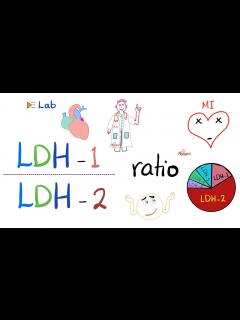 [画像][x]LDH-1 to LDH-2 Ratio (and the flipped LDH) | Lactate Dehydrogenase and ... 余白なし