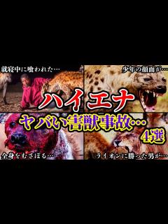 [画像][x]【骨すら喰われる!?】怪物じみた「人喰いハイエナ」危険生物に襲われた人達の末路がヤバすぎる… 4選【ゆっくり解説】【閲覧注意】 - YouTube 余白なし