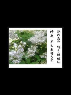 [画像][x]詩吟 「夏は来ぬ(唱歌)」 佐々木信綱 - YouTube 余白なし