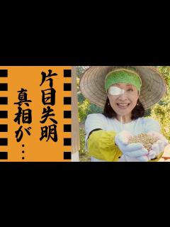 [画像][x]小林幸子が片目を失明した真相...突如襲った病魔の正体に言葉を失う...『豪華衣装』で有名な紅白歌手の和田アキ子や美川憲一との確執...引退 ... 余白なし