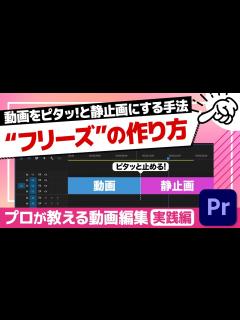 [画像][x]よく使う演出方法！動画をピタッと止めて静止画にする効率的なやり方&注意点も解説！【Adobe Premiere Pro 動画編集】 - YouTube 余白なし