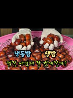[画像][x]냉동밤/생밤 똑같이... 쪄봤습니다! 궁금증 해결 됐습니다. - YouTube 余白なし