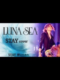 [画像][x]STAY/SUGIZOパート【弾いてみた 余白なし