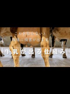 [画像][x]【搾乳の基本①】牛乳が出る仕組み、まずこれを理解して欲しい。牧場経営者からのお願いです。 - YouTube 余白なし