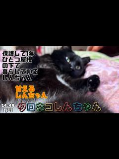 [画像][x]ひとつ屋根の下に暮らす様になって1年と8ヶ月 14:49 1/13 - YouTube 余白なし