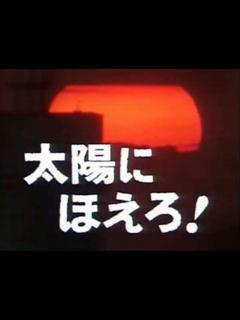 [画像][x]【太陽にほえろ】テキサスとナポレオン（警察犬ジュン）の再会 - YouTube 余白なし