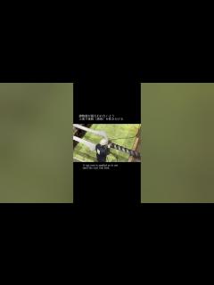 [画像][x]【ロンギヌスの槍制作動画Part⑫】塗装#エヴァンゲリオン #evangelion #まちエヴァ #ロンギヌスの槍 #山口県 #宇部市 ... 余白なし