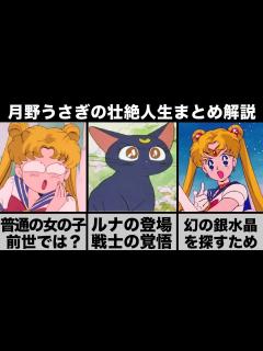 [画像][x]【セーラームーン】主人公の月野うさぎの壮絶な人生まとめ解説 #セーラームーン #アニメ #sailormoon - YouTube 余白なし