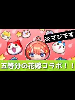 [画像][x]「速報」ぷにぷに × 五等分の花嫁コラボが確定しましたwwwwwwww「妖怪ウォッチぷにぷに、ぷにぷに」(半妖の滅龍士) - YouTube 余白なし