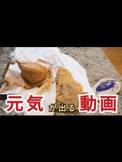 [画像][x]仕事から帰ってきたのでスーツ生脱ぎを撮ってみました 3 - YouTube 余白なし