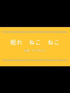 [画像][x]眠れねこねこ ねこねこ55 キクちゃん（チャンネル登録者100人記念） - YouTube 余白なし