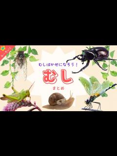 [画像][x]虫について知ろう!!総まとめ!!〜むし博士になろうシリーズ〜3歳/4歳/5歳/6歳/ - YouTube 余白なし