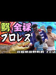 [画像][x]【鰐と全裸とプロレス？】ジャマイカ仕込みの青年部が田野町の鰐フェスに参加してみた【宮崎県田野町】 - YouTube 余白なし
