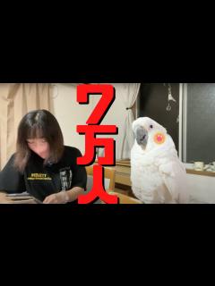 [画像][x]登録者数70000人突破記念ライブ - YouTube 余白なし