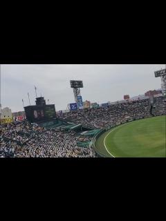 [画像][x]20240608 ﾁﾝﾃの原曲♪ 試合前に流れる ｢プロ野球 応援歌 スーパースター｣ 阪神ﾀｲｶﾞｰｽ主催試合@阪神甲子園球場･ﾚﾌﾄ外野 ... 余白なし