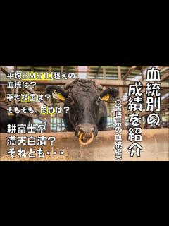 [画像][x]血統別、成績（BMS・ロース面積・枝重）を紹介〔宮崎県編〕 - YouTube 余白なし
