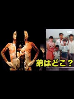[画像][x]「弟はどこ？」豪州で開催中の人体標本展 兄がDNA鑑定を要求| ニュース | 新唐人| 報道 | 臓器 海外 - YouTube 余白なし