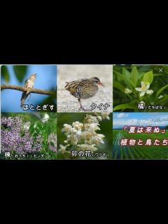 [画像][x]「夏は来ぬ」作詞：佐々木信綱 作曲：小山作之助 - YouTube 余白なし