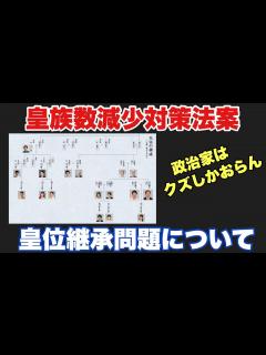 [画像][x]皇族数減少対策法案 皇位継承問題について 政治家はクズしかおらん - YouTube 余白なし