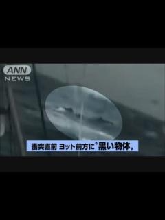 [画像][x]辛坊治郎さんヨット浸水 "クジラ"が衝突する瞬間 - ニコニコ動画 余白なし