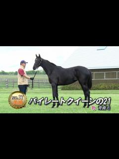 [画像][x]No.17 パイレートクイーンの21 - YouTube 余白なし