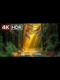 [画像][x]4K Video ULTRA HD 120 FPS - Best of 4K HDR Dolby Vision - YouTube 余白なし