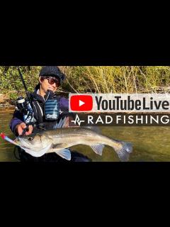 [画像][x]久々ライブ配信！1時間質問お待ちしております！ - YouTube 余白なし