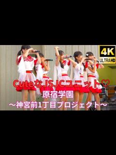 [画像][x]JSJCアイドル【4K/α7Ⅳ】原宿学園〜神宮前1丁目プロジェクト〜（Japanese idol group Harajuku Gakuen ... 余白なし