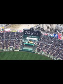 [画像][x]選抜高校野球が開幕 好カードににぎわう阪神甲子園球場 - YouTube 余白なし