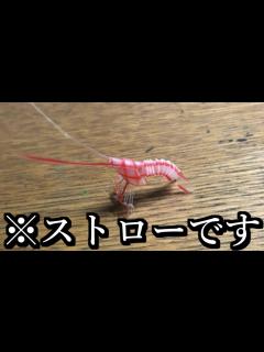 [画像][x]天才が作ったすごいものたちがこちらwww - YouTube 余白なし