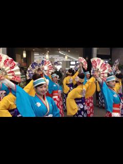 [画像][x]よさこい ほにや 2018年の初踊り〜ほにや本店前①〜 - YouTube 余白なし