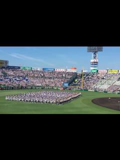 [画像][x]2016夏 第98回 全国高校野球選手権大会 「開会式」 入場行進 (アルプス席から) - YouTube 余白なし