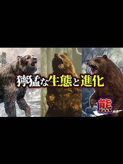 [画像][x]【ゆっくり解説】クマ！獰猛な生態と進化…そして新種「ピズリー」とは？！ - YouTube 余白なし