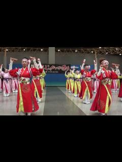 [画像][x]ほにや（正調よさこい鳴子踊り） ～ゑぇじゃないか祭り2012 - YouTube 余白なし