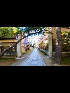 [画像][x]千葉県市川市真間を歩く【今度こそ市川市編 part 1】【散歩208】 - YouTube 余白なし