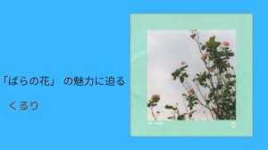 歌詞解釈】くるり『ばらの花』を200回以上聴いた僕なりの解釈。僕はこんな名曲にもう出会えないかもしれない。 | ぴのいもブログ