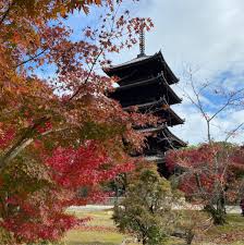 仁和寺 五重塔】口コミ・アクセスと周辺観光ガイド・地図