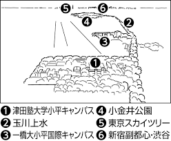 望 ～都の空から＞津田塾大・小平キャンパス 「自立した女性の育成」梅子の思い、脈々と：東京新聞 TOKYO Web