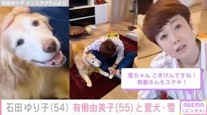 石田ゆり子、有働由美子と愛犬が自宅でじゃれ合う姿を公開「ふたりとも ...