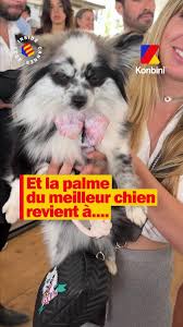 Et la Palme Dog revient à..... 🐶🎉 #FestivaldeCannes #Cannes2023  #animalsoftiktok #PalmeDog